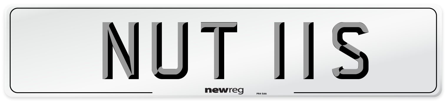 NUT 11S Number Plate from New Reg